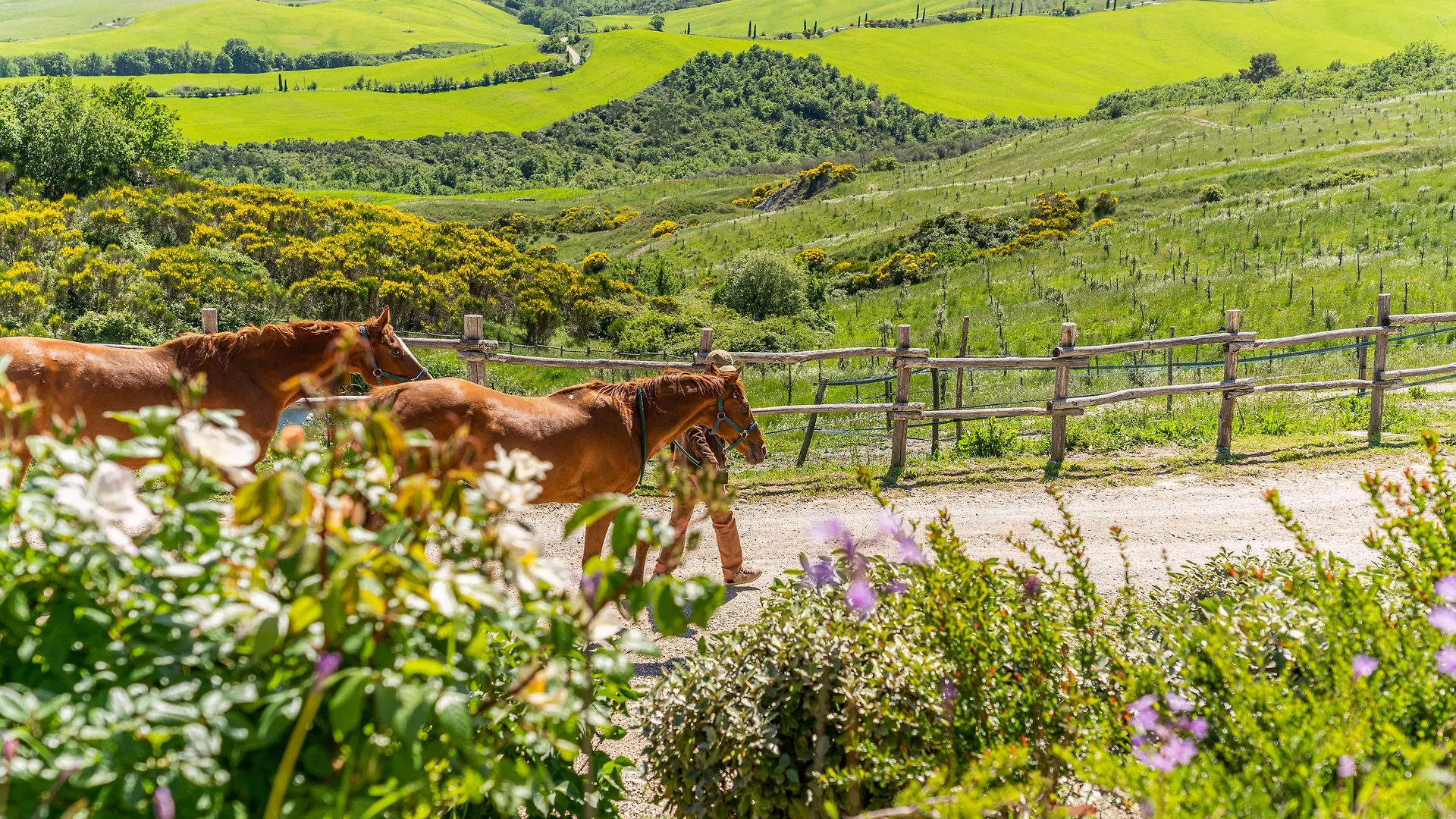 Vakantieboerderij Podere Val D'Orcia - Tuscany Equestrian Sarteano Italië